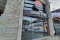 Top Shop Image